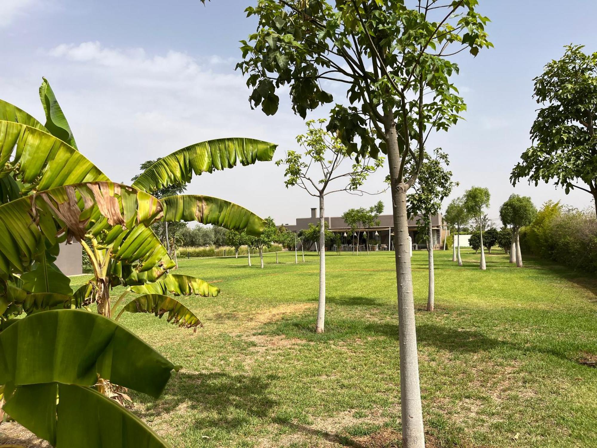 Villa Jardins D'Isa Lagouassem Εξωτερικό φωτογραφία